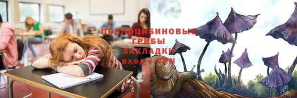 прущая мука Козловка