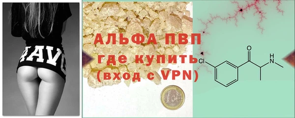 спайс Корсаков