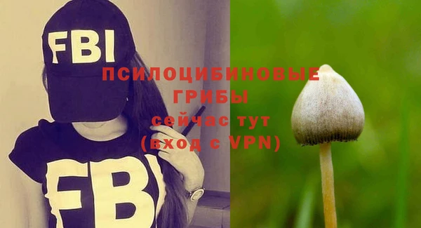 Альфа ПВП Козельск