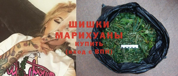 спайс Корсаков