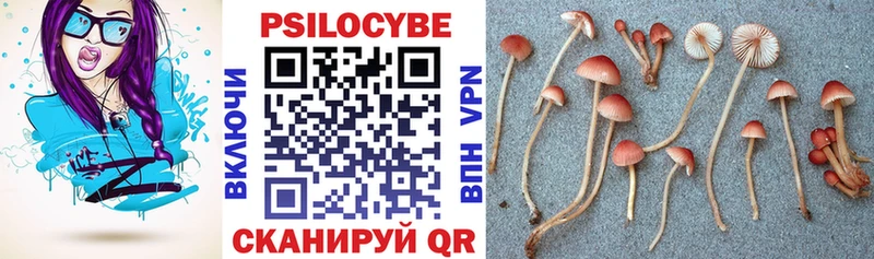 Псилоцибиновые грибы Magic Shrooms  Купить  Богородицк 