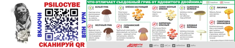 Галлюциногенные грибы Magic Shrooms Богородицк